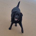 Profile Picture of Andrew Heyes (@andrewheyes1971) on Instagram