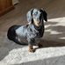Profile Picture of Linus Lewis (@linus.lewis.96) on Facebook