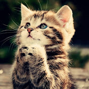 Profile Picture of #Julia Valente (@juliavalente3803) on Youtube