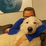 Profile Picture of Heather Hoagland (@hlhoagland) on Instagram