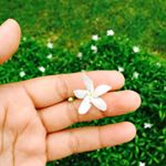 Profile Picture of Give Away?50 Foll 👆🏻pencet (@lori.slime_shop) on Instagram