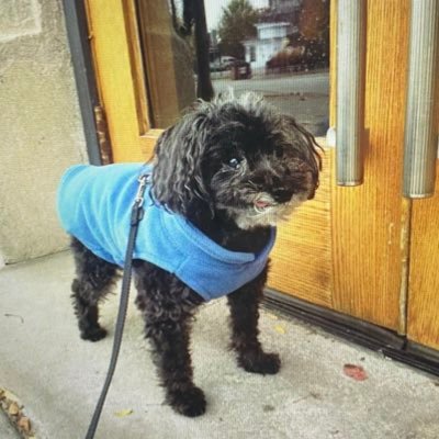 Profile Picture of Farrah Grant (@farrah_grant) on Twitter