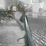 Profile Picture of Sylvester Stephens (@syorel74) on Instagram