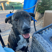 Profile Picture of Paul OBrien (@paulobrien9548) on Youtube