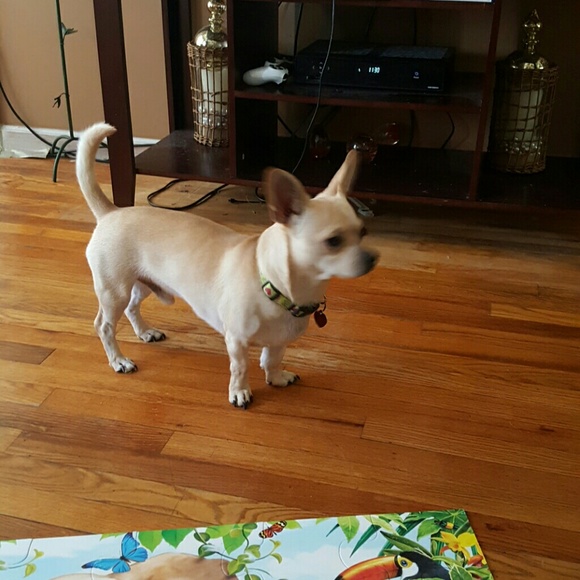 Profile Picture of Yesenia Ayala (@yessi1983) on Poshmark