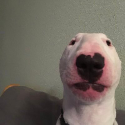 Profile Picture of Frederick Smalls Jr (@FrederickSmal20) on Twitter