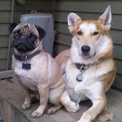 Profile Picture of Craig Huddleston (@craighuddleston7802) on Youtube