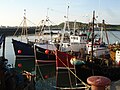 Profile Picture of Ardglass - Wikipediaon Wikipedia