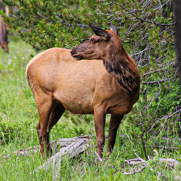 matthew - Tiktok Profile Picture of matthew (@matthewjgorman) on Tiktok