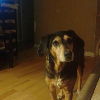 Profile Picture of Jesse Sauvé (@Jessesauve08) on Facebook