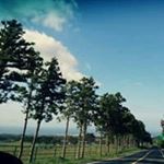 Profile Picture of Wonjung Kim (@wonjungk) on Instagram