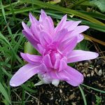 Profile Picture of Brian Lynge Hagen (@hagenflowers) on Instagram