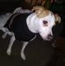 Profile Picture of Gordon Asher (@profile.php) on Facebook