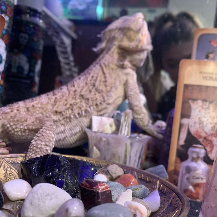 Profile Picture of Cecelia cook (@awaken2224) on Tiktok