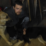 Profile Picture of Tyler Crum (@tylercrum5278) on Youtube