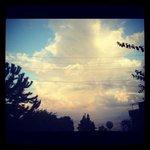 Profile Picture of Melissa Sutter (@melissasutter) on Instagram