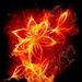 Profile Picture of Leigh Lawrence (@selftaught) on Pinterest