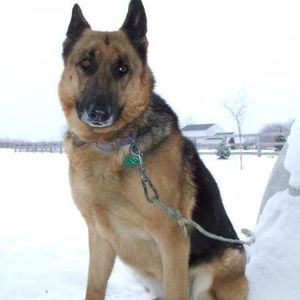 Profile Picture of Paige Me (@paigememusic) on Myspace