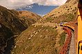 Profile Picture of Dunedin Railwayson Wikipedia