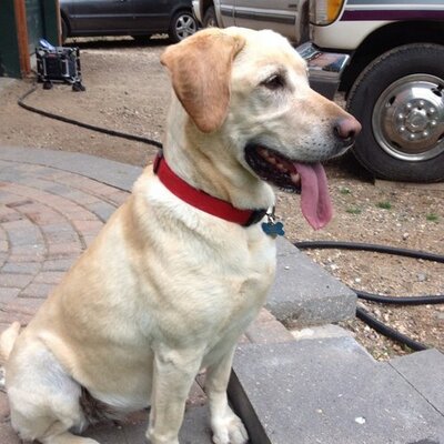 Profile Picture of Mike Westby (@MikeWestby2) on Twitter