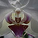 Profile Picture of Controluce (@controluce) on Flickr