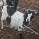 Profile Picture of Brian Germann (@brian.germann) on Instagram