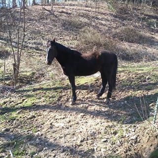 Profile Picture of Paul Graham (@jpaulgraham) on Facebook