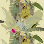 Profile Picture of Cassandra (@cassandra_granger) on Instagram