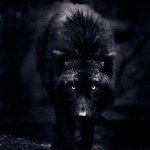 Profile Picture of Jeremy Hungerford (@thebigbadwolf78) on Instagram