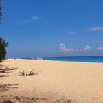 Profile Picture of jasmine (@wandererjasmin) on Instagram