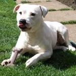 Profile Picture of Kevin Rowlett (@kev_rowlett) on Instagram