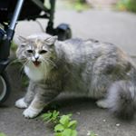 Profile Picture of Alexander Aronov (@mr_aronov) on Instagram