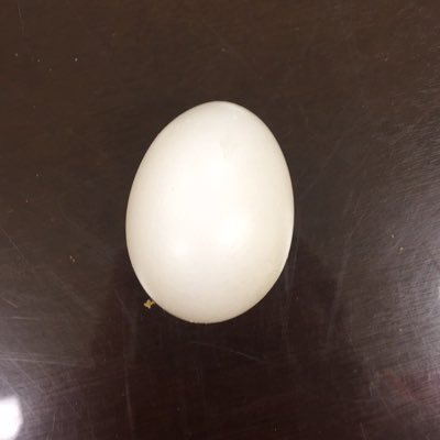 Profile Picture of Scott Ferguson (@pro_fencer_scot) on Twitter