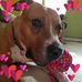 Profile Picture of Kim Zimmermann (@kim.zimmermann.127) on Facebook