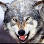 Profile Picture of Darian Foster (@darfoster17) on Instagram