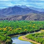 Profile Picture of Ron Scott (@ronscott25) on Instagram