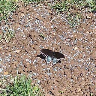 Profile Picture of Jason Brimmer (@jason.brimmer.796) on Facebook