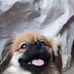 Profile Picture of Eugenio Jimenez (@eugenio.jimenez.357284) on Facebook