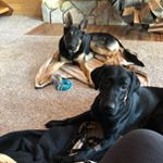 Profile Picture of Wenzel Gang (@rage_against_hoyt_pearl_ruby) on Instagram