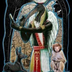 Profile Picture of Jesse Owens (@jesseowens2351) on Pinterest