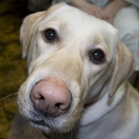 Profile Picture of Roger Tuttleman (@roger-tuttleman) on Quora