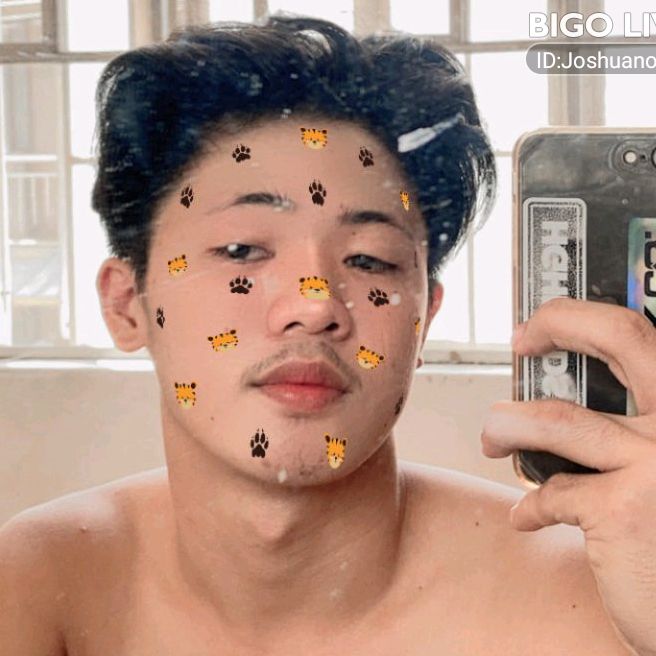 Profile Picture of Joshua🦁 (@joshuanoblee) on Tiktok