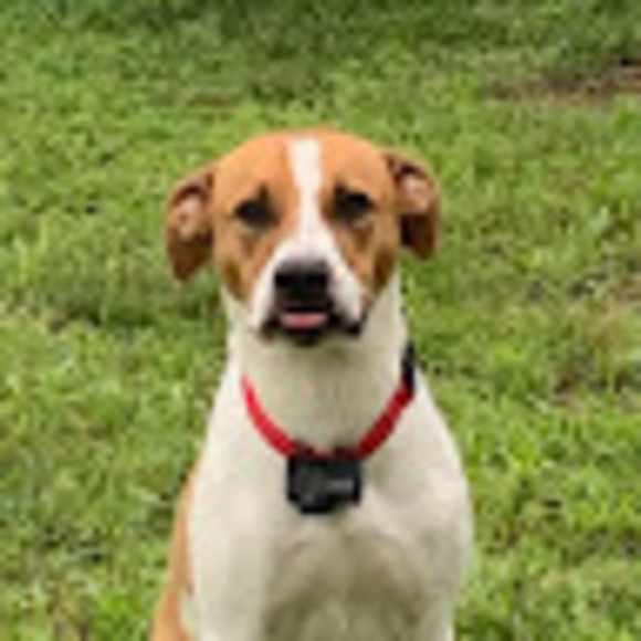 Profile Picture of Aida Smalls (@aidasmalls) on Poshmark