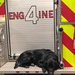 Joel Moore - Instagram Profile Picture of Joel Moore (@joelmoore22) on Instagram