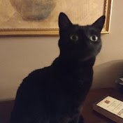 Profile Picture of Colin McEntee (@colinmcentee9796) on Youtube