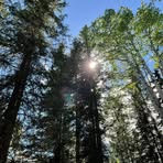 Profile Picture of Anne Clendening (@anne.clendening) on Facebook