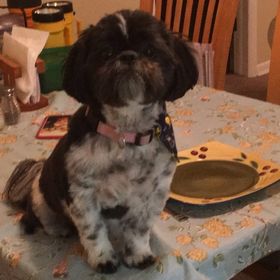 Profile Picture of Jess Moore (@jessicamariee6) on Pinterest