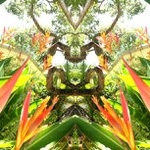 Profile Picture of Daryl Harden (@lightplurge) on Instagram