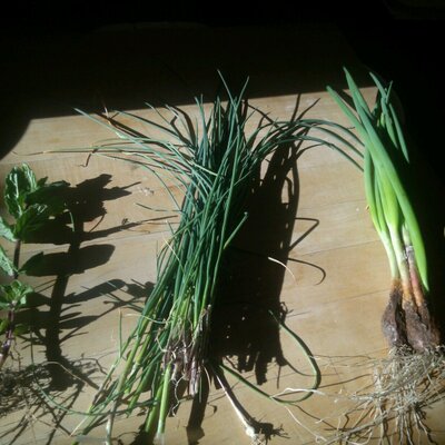 Profile Picture of Alexander DuBois (@ChezDuBois) on Twitter