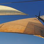 Profile Picture of Wendell Cook (@cookwl) on Instagram